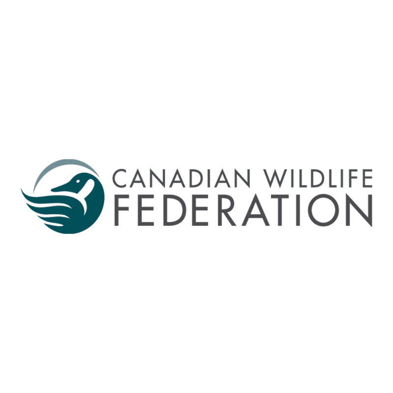 Canadian Wildlife Federation Bronson Technical Search